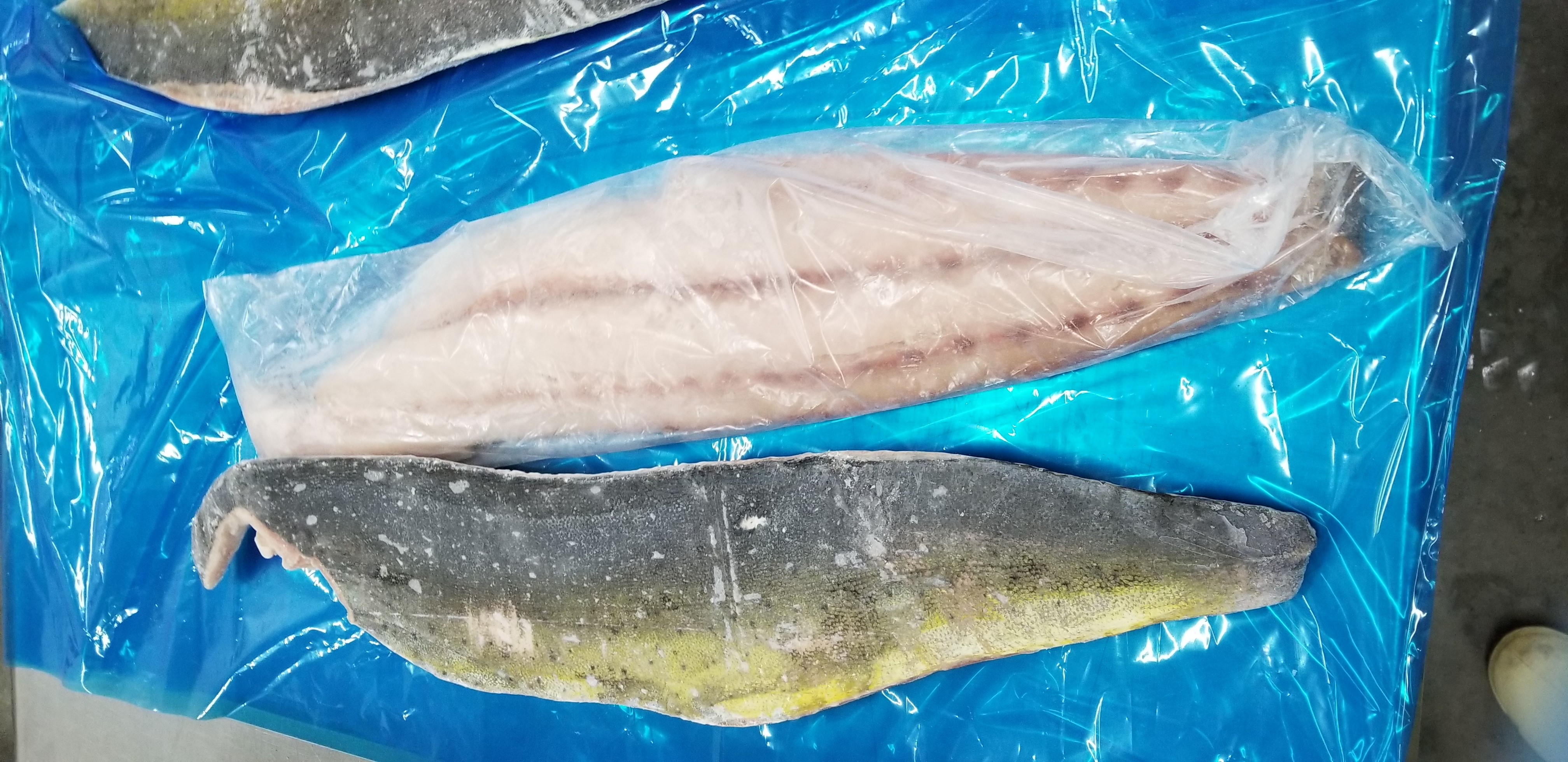 Mahi Mahi